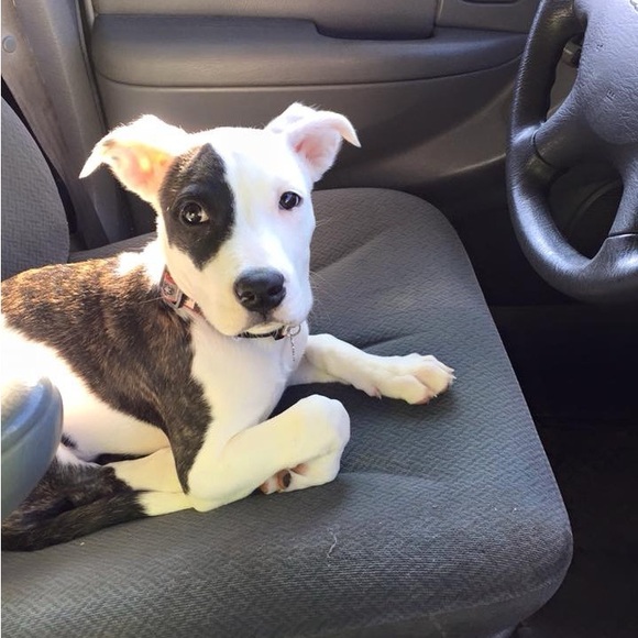 🌟🦴Sloan’s recovery donation 🦴❤️ - Picture 2 of 13